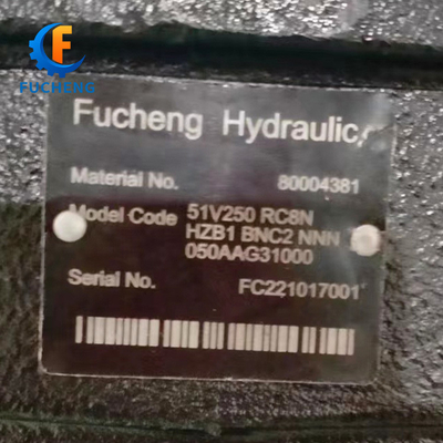 Sauer 51 Serie 51V 080 RC6N/51V 250 RC8N/51C080RD3N Gusseisen-Hydraulischer Kolbenmotor