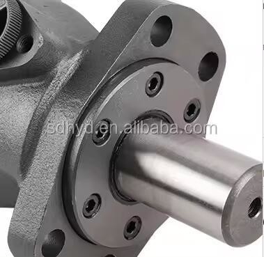 Sauer OMH BM OM 36 50 80 100 125 160 200 250 315 400 Hydraulischer Orbitmotor und Dichtungskits