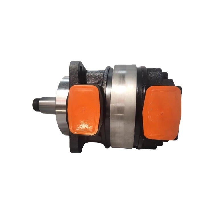 Standardstruktur Drehpumpe Rexroth MV-Serie Hochdämpfermotoren MV037-D2-2S-020-31