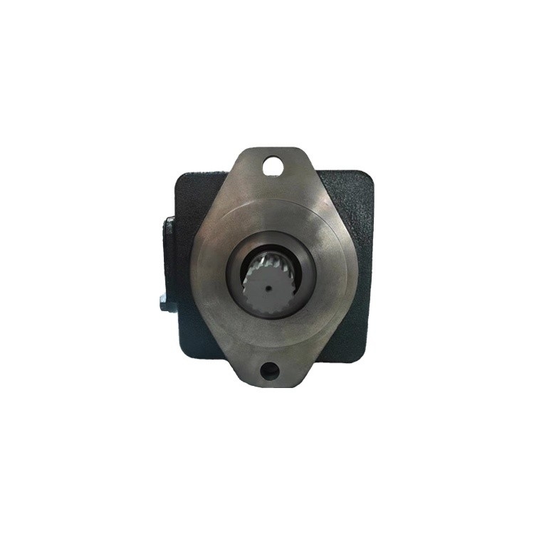 T7ES Einzelstaubkolbenpumpe Kartuschen-Kit Standardstruktur für Vickers Vane Pump