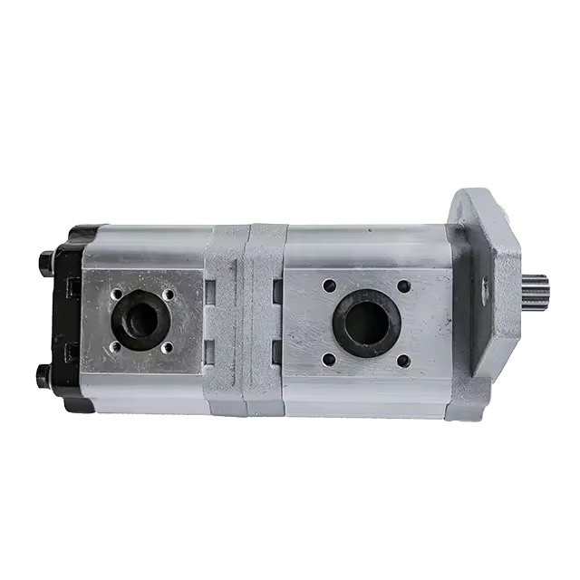 Standard 20cc 20cc Aluminium Hydraulik Getriebe Pumpe Doppelpumpe für Maschinen von Fucheng