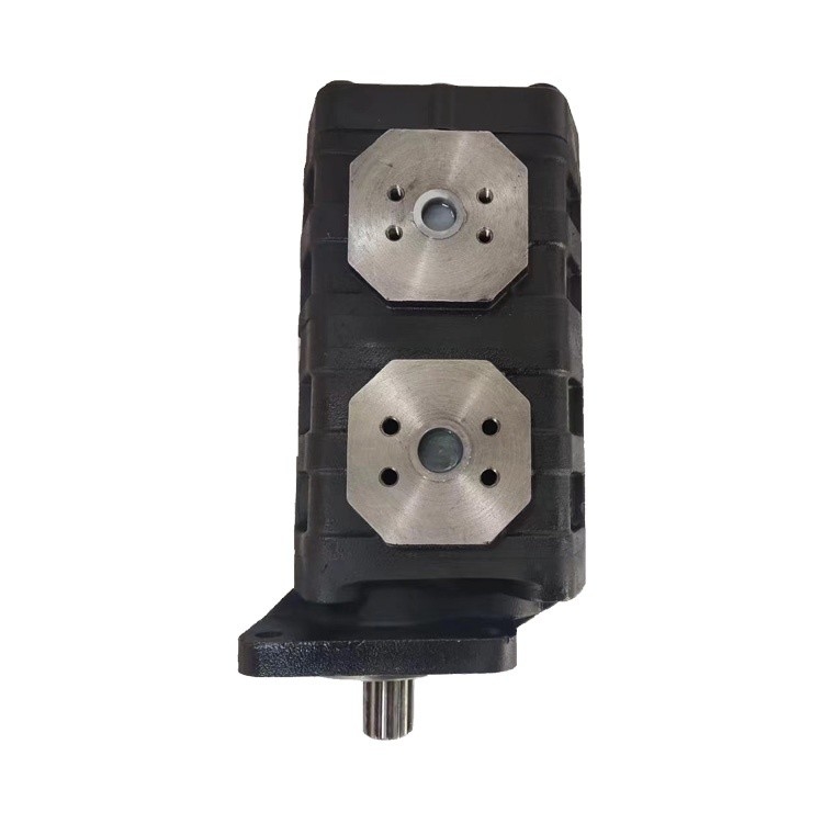 Standard-Guss-Aluminium-Hydraulische Pumpe Cbgj2063/2050R Umschlag 63 Ml/R Serie Getriebepumpe